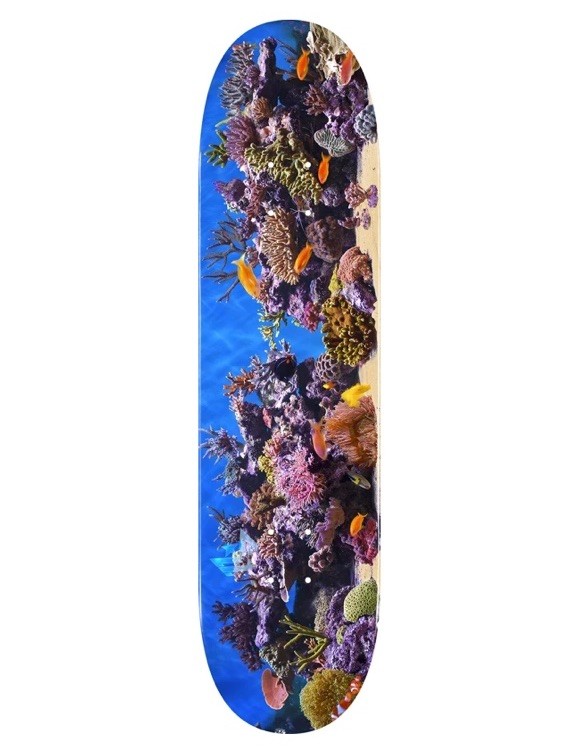 Powell Mini Logo  Fish Tank Skateboard Deck 291 - 7.75&Prime; Blue 🐟