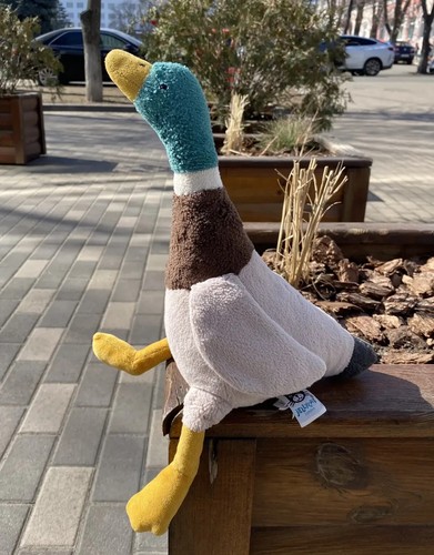 JellyCat Morgan Mallard Duck