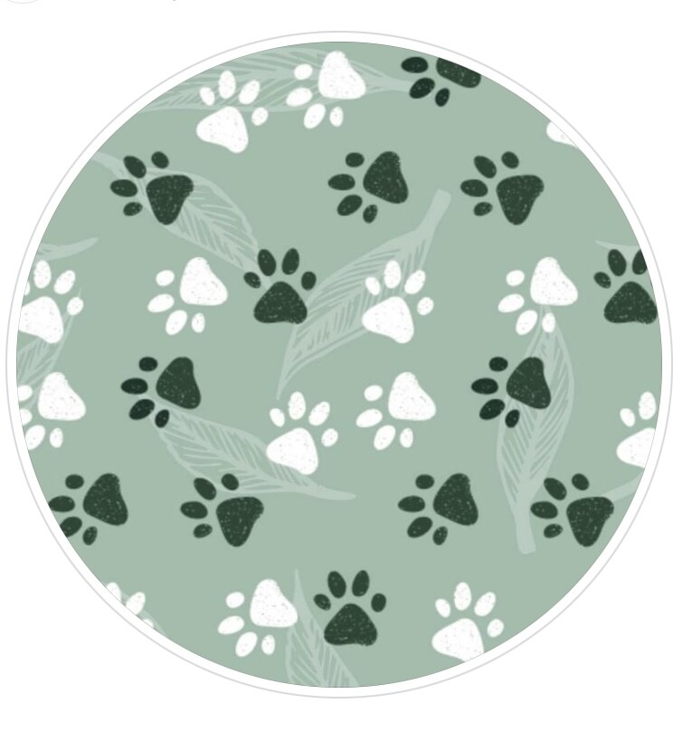 Supa Supp Garlic Oil Capsules At ₹ 120/box In Hooghly | ID: 2850362996997 - Foto 8