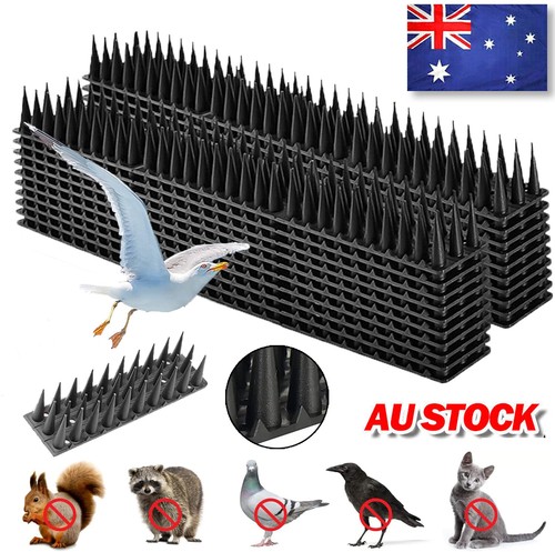 12/24PCS Anti Bird Spikes Human Cat Mouse Pest Control Spiked Fence Deterrent - Picture 2 of 21