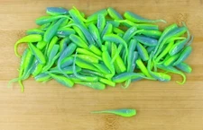 (100) Crappie Fishing 2" Baby Shad Screamer Glo Bulk Lot Brand New