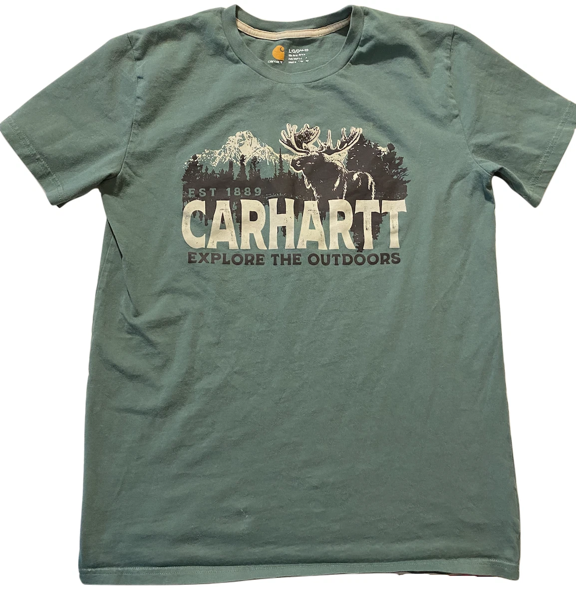 Carhartt Kids L (14-16) Graphic T Shirt, Outdoors, Moose, Camp