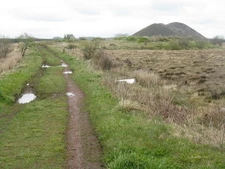 Photo A2 Track from Springhill and Leadloch Road Torbothie Leading to mo c2012