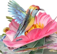 3D Pop Up Geburtstagskarte Pfingstrosenvogel Mit Umschlag FüR Frauen MäNner