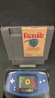 Faxanadu (Nintendo Entertainment System, 1989) NES