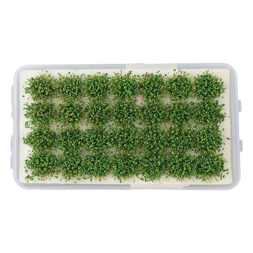 Create Stunning Dioramas with Realistic Herbal Cluster Grass 28 Plants - Picture 12 of 50