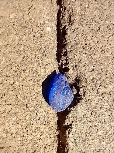 Genuine Sea Glass Beautiful cobalt blue color SEA230 - Picture 5 of 7