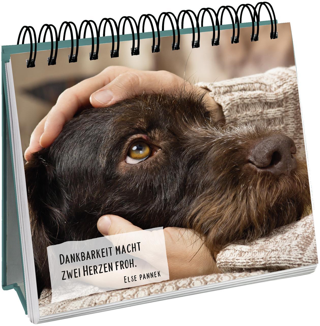 Thumbnail - Für Hundefreunde Groh Verlag