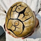 15.4LB Natural Turtle Back Stone Dragon Crystal Cave Crack Gem Healing — photo 9
