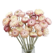 20 Pcs Natural Dried Daisy Flowers Bouquet Dried Flower Pink Daisies Dried Su...