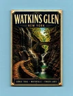 WATKINS GLEN NEW YORK TRAVEL POSTER *2X3 FRIDGE MAGNET* GORGE TRAIL WATER FALLS