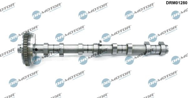 Dr.Motor Automotive DRM01280 Nockenwelle FüR Audi Seat Skoda VW-image