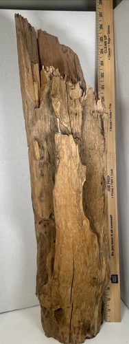 Driftwood Taxidermy Beach Lake Mountain House Wedding Reception Aquarium