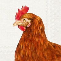 20 Servietten Farm Hen Einzelne Henne HüHner VöGel Haustiere Eier Bauern 33X33Cm