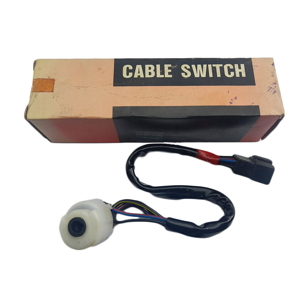 No.1305 TG SWITCH HEAD 80g 3個 TGビンビンスイッチ ヘッド - SALT WATER 海釣り｜JACKALL