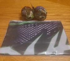 Pro Wrestling Crate Exclusive Brawler Ball & Flag Jeff & Matt Hardy WWE AEW TNA