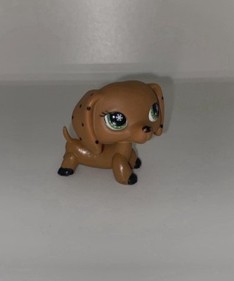 petshop dachshund