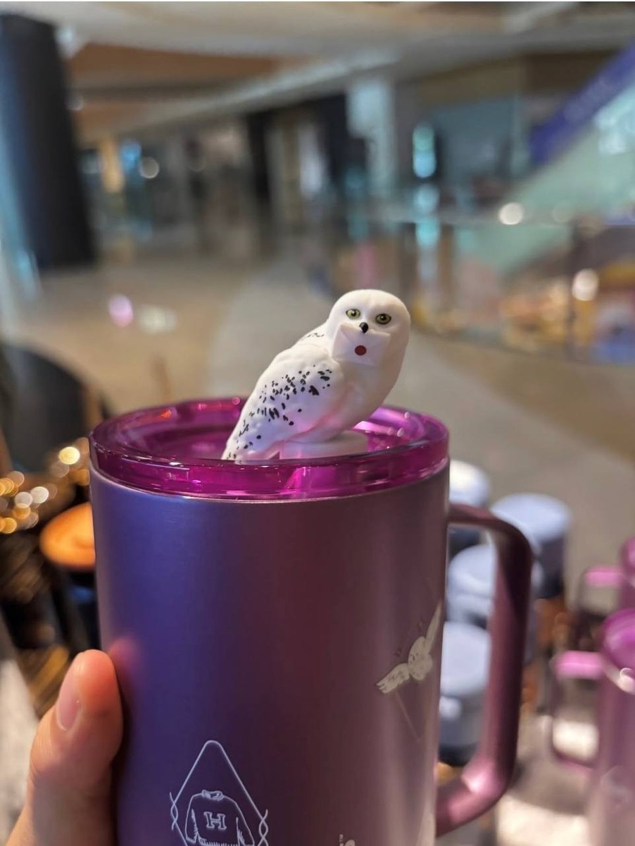 Starbucks x Harry Potter New 2026 Asia Collection Authentic Gift