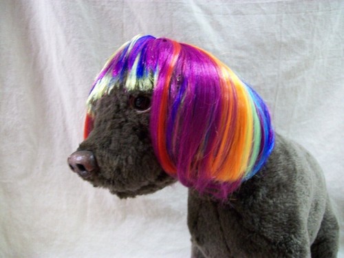 Süße Regenbogen mehrfarbige kurze Bob Hundekostüm Perücke mit Pony Stolz Haustier Größe M/L - Bild 1 von 12