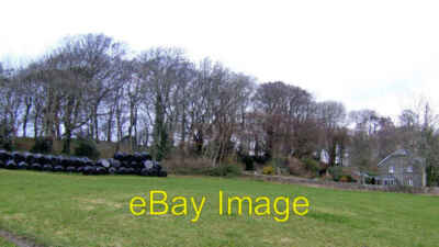 Photo 6x4 Isolated cottage and wood at Chilcombe Chilcombe/SY5291 ...