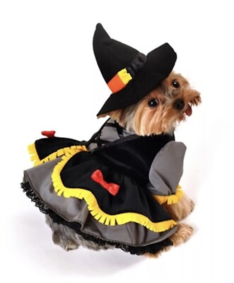 Scarecrow Witch Dog Costume by Anit Accessories ~ Size Large