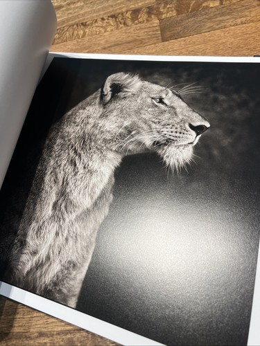 Nick Brandt A Shadow Falls - Bild 13 von 17