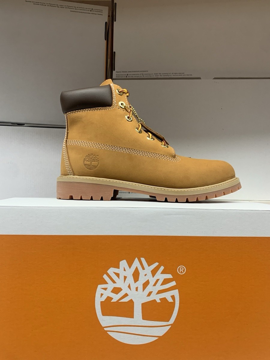 TIMBERLAND PREMIUM 6 INCH Waterproof Juniors NEW Medium Width | eBay