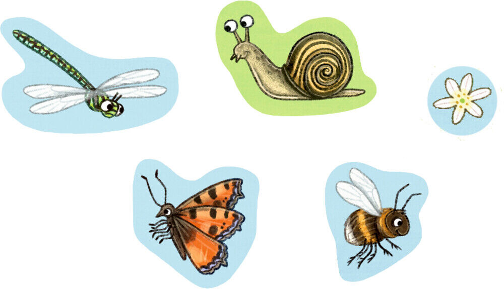Thumbnail - Natur-stickerwelt: Tiere In Wald Und Wiese | 2021 | Deutsch