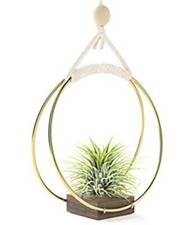 Small modern hanging planter Macrame