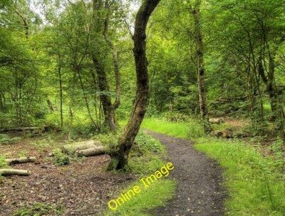 Foto 6x4 Weg durch windige Bank Holz Glasur windige Bank Holz, bei Glasur c2014