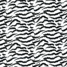 Hydrographics Dipping  Film Water Transfer Printing Flim  Clear Tiger AP-820-A