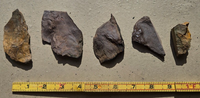Jurassic Dinosaur Footprint Partials, Trace Fossils, Free Shipping
