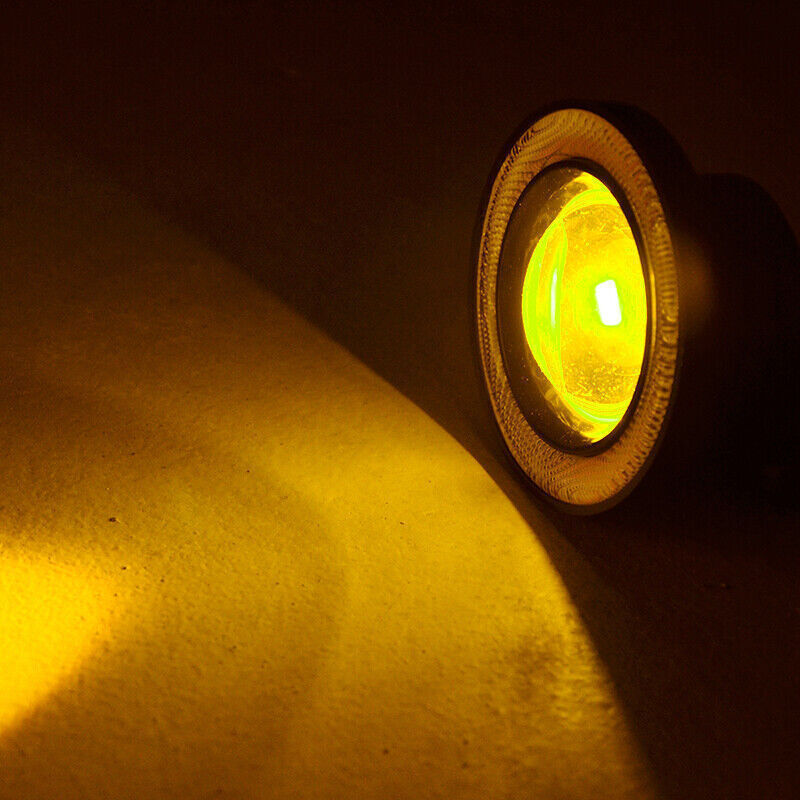Picture 5 of 8