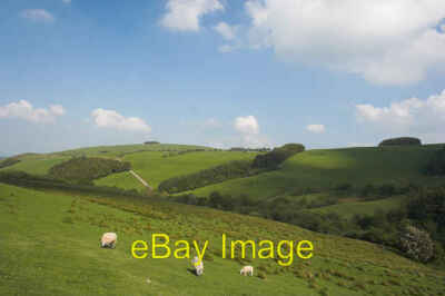 Photo 6x4 Pasture near Beili farm Glynhafren In the background the track  c2007