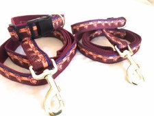 Brisbane Dog Collars and Leads  NOT an officially endorsed product 