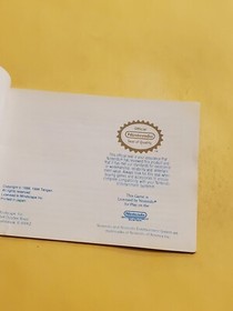 Manuale Paperboy Nes