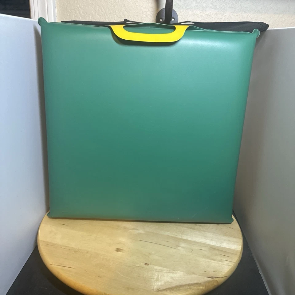 Cojín de asiento vintage de patos de la Universidad de Oregón, mascota del pato Donald de Disney Foto 3 de 4