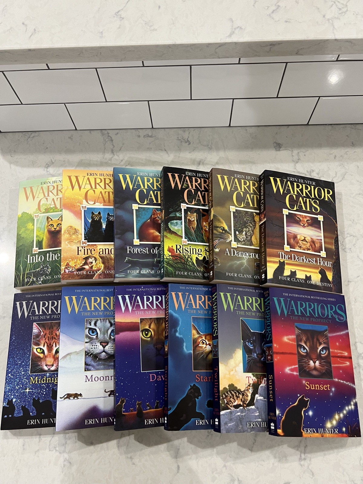 Warrior Cats Volume 1 to 12 Books Collection Set (The Complete First Series)