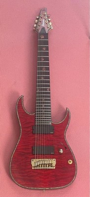 Ibanez Iron Label RGIX28FEQM 8-String Electric Guitar Ebony