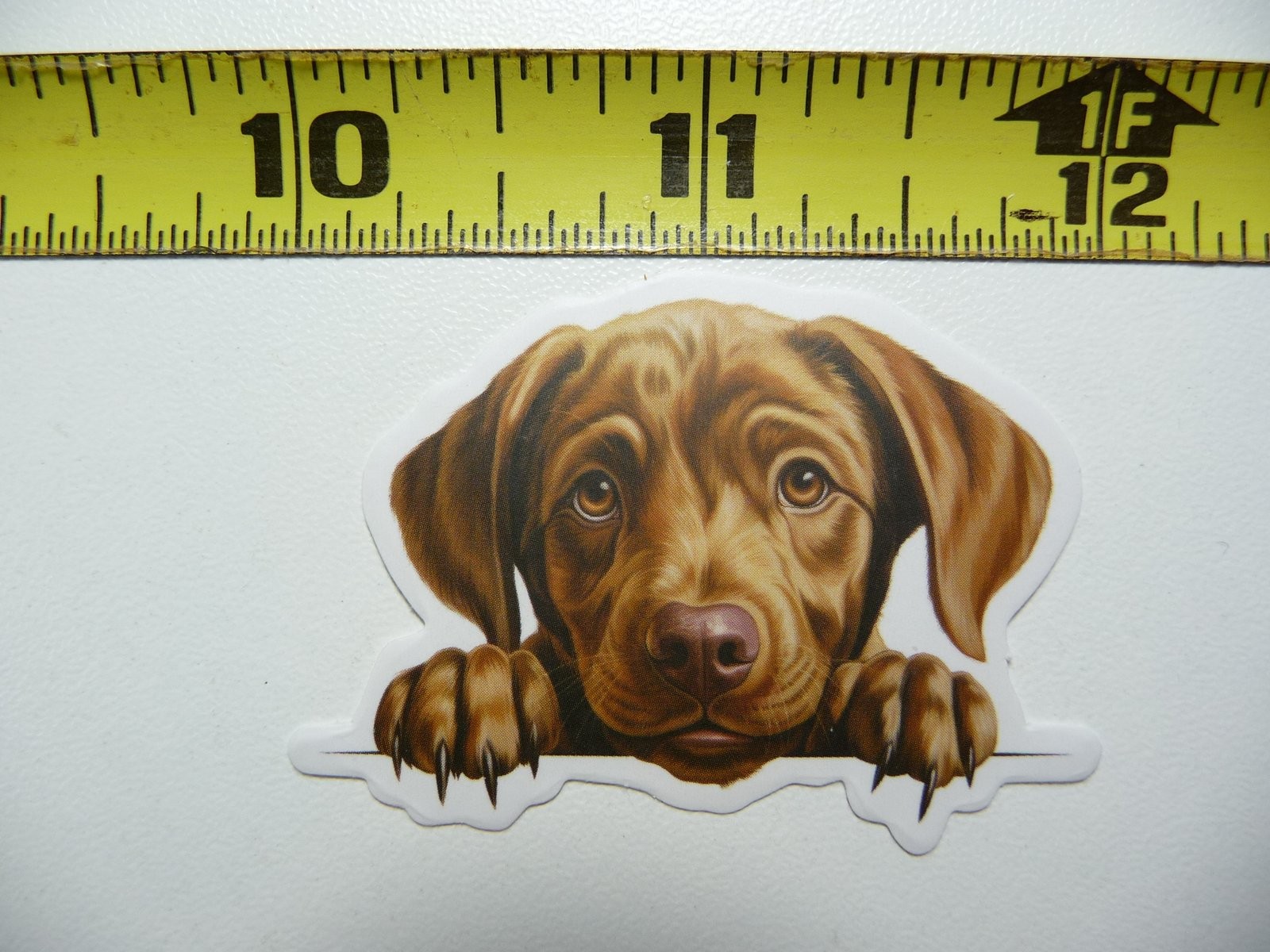 Adorable Peeking Labrador Retriever Puppy Sticker Decal for Pet Lovers