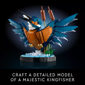 LEGO Icons Kingfisher Bird Building Set for Build and Display 10331