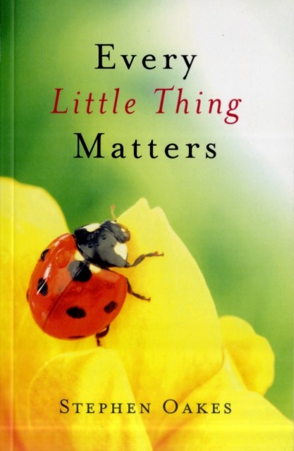Every Little Thing Matters by Stephen Oakes PAPERBACK 9781846944239