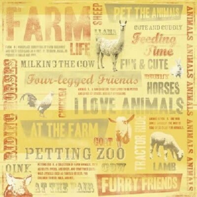 Petting Zoo, scrapbook paper - Karen Foster Design #60724