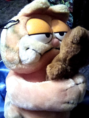 Vintage 1980er Garfield Katze und Pooky Teddybär Retro weicher Plüsch von Dakin