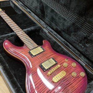 DEAN ギター エレキ HARD TAIL SE TPP ハードケース【中古】 Dean Hardtail | eBay