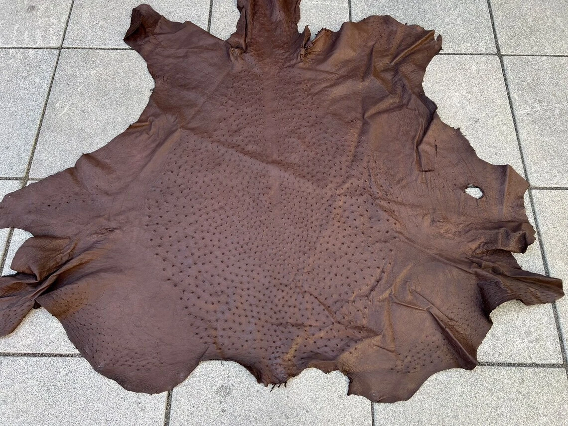 Raw on sale leather hide
