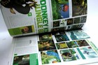Foto 4 di 5