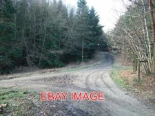 PHOTO  SOUTH HOLMWOOD TRACK JUNCTION IN REDLANDS WOOD 2007