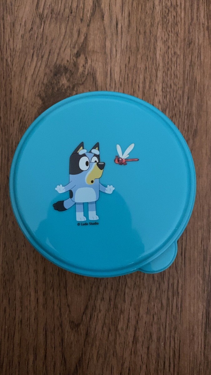 Bluey The Creek Plastic Container Bluey Aqua Turquoise Dragonfly