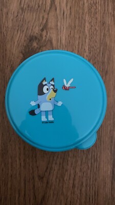 Bluey The Creek Plastic Container Bluey Aqua Turquoise Dragonfly
